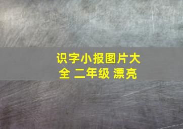 识字小报图片大全 二年级 漂亮